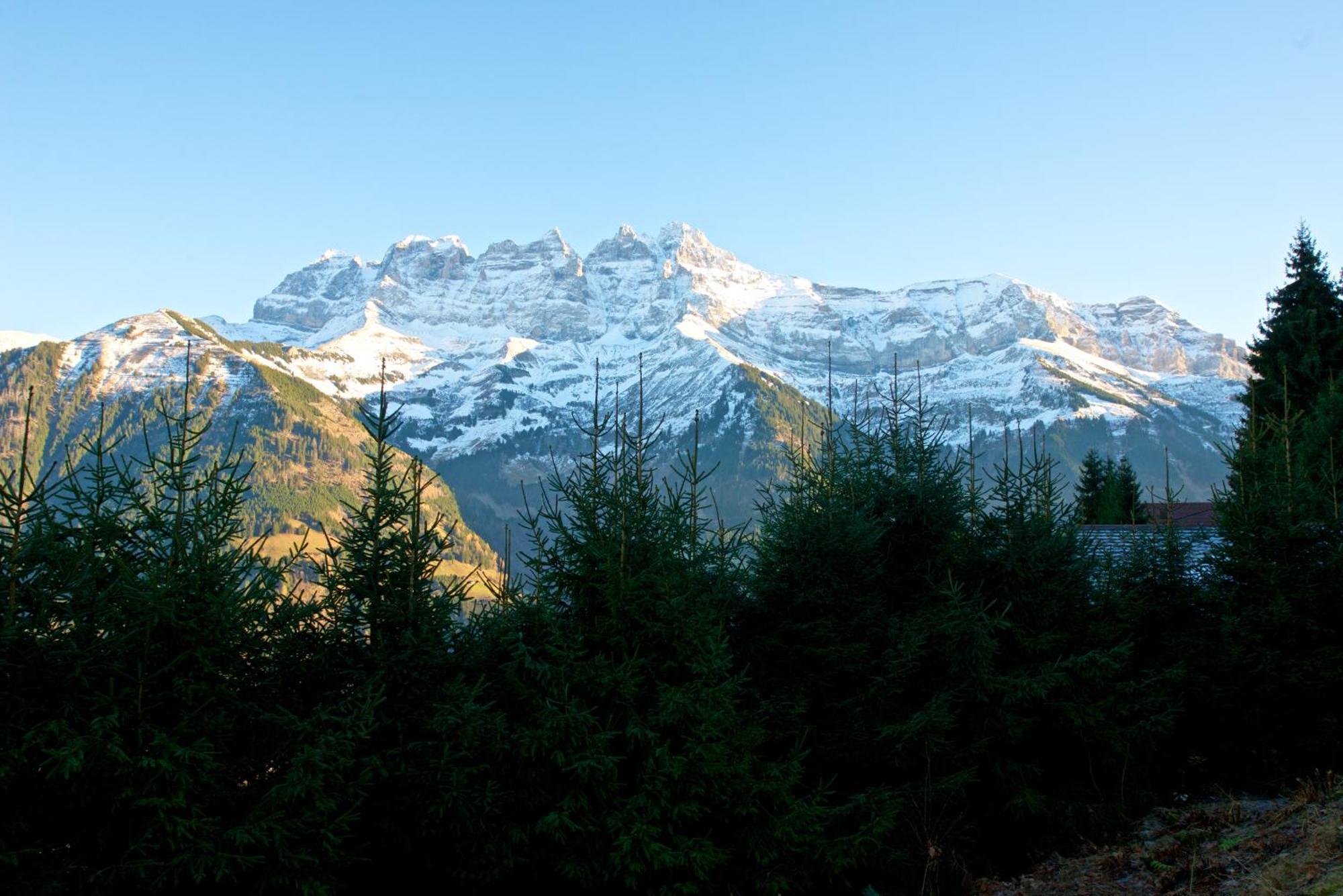 瓦尔·蒂利兹L'Observatoire Des Alpes, Les Crosets公寓 外观 照片